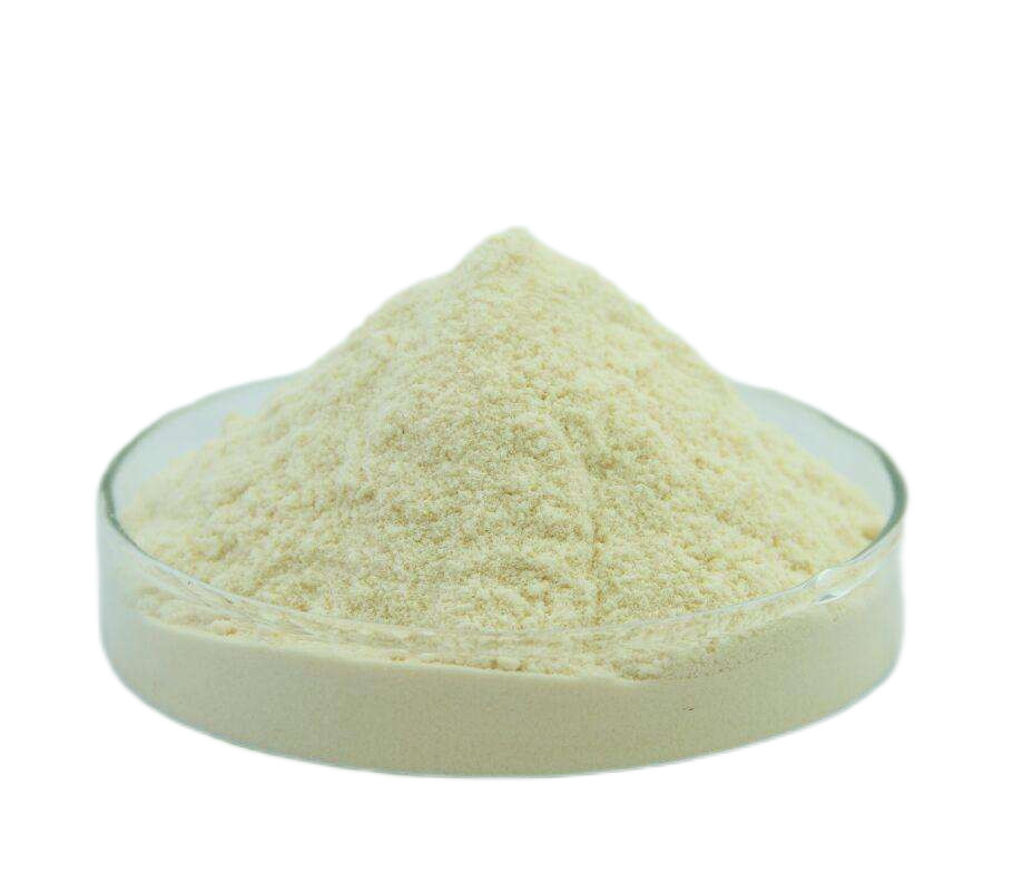 PSD 0.6-1.0 Μm Cerium Oxide Polishing Powder Micron For Optical Glass